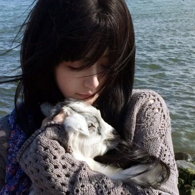 重生之飞驰人生2004